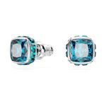 Swarovski Birthstone Örhängen