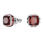 Swarovski Birthstone Örhängen