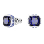Swarovski Birthstone Örhängen