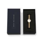Daniel Wellington Petite Mini Evergold analog damklocka med vit urtavla och armband i rostfritt stål