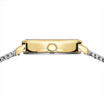 Bering Classic 11020-010