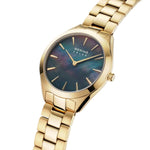 Bering Solar 17331-732