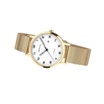 Bering Titanium 18634-334