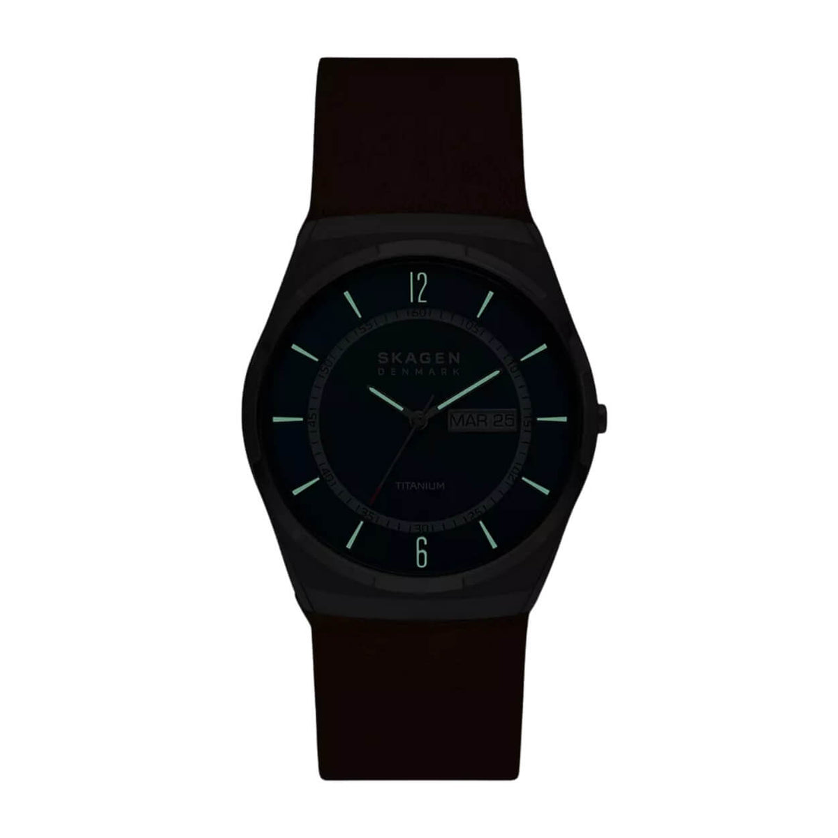 Skagen Melbye Titanium SKW6906